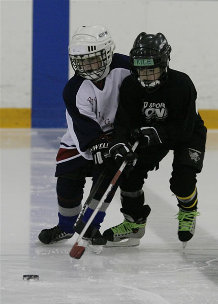 novice hockey