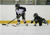 Bellingham Stars Hockey : IMG 6274