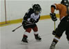 Bellingham Stars Hockey : Image