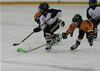 Bellingham Stars Hockey : Image