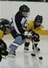 Bellingham Stars Hockey : Image