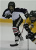 Bellingham Stars Hockey : Image