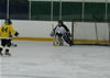 Bellingham Stars Hockey : Image