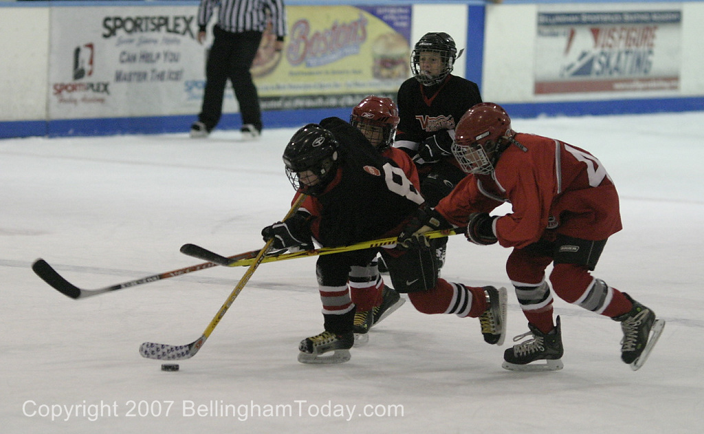 Photo 46