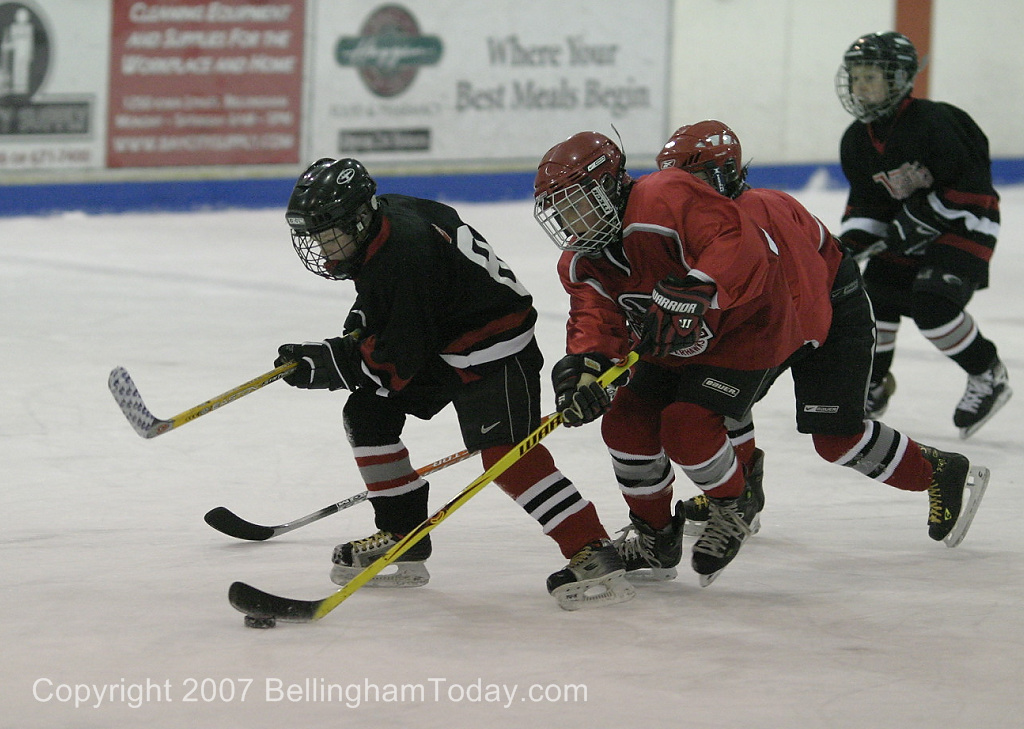 Photo 48