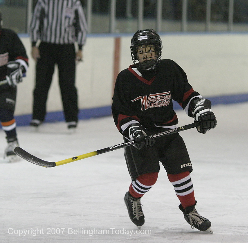 Photo 44