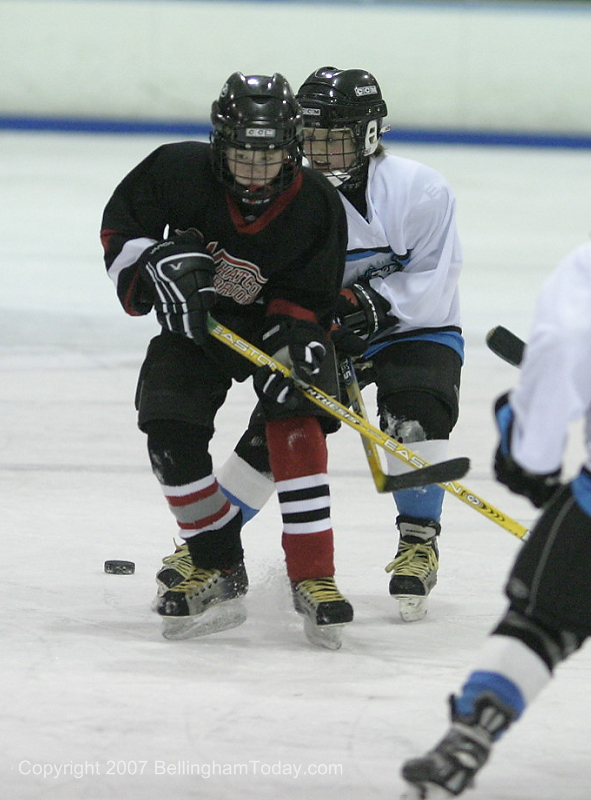 Photo 46