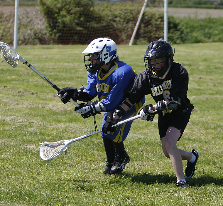 Photo 42