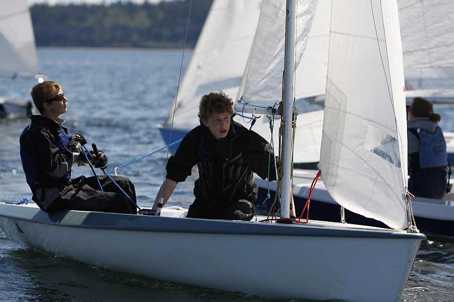 Photo 42